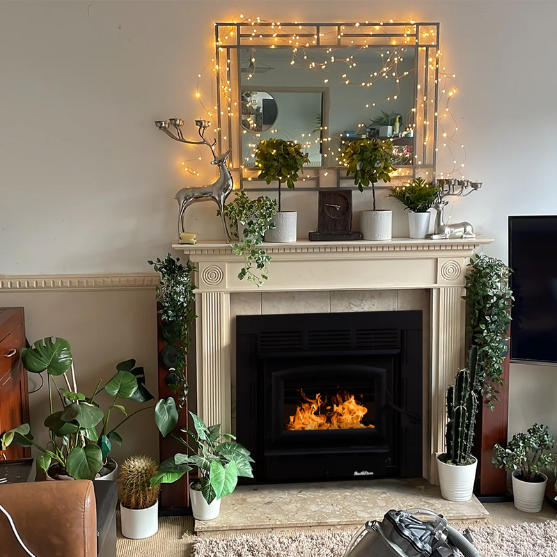 Buck Stove Model ZC21