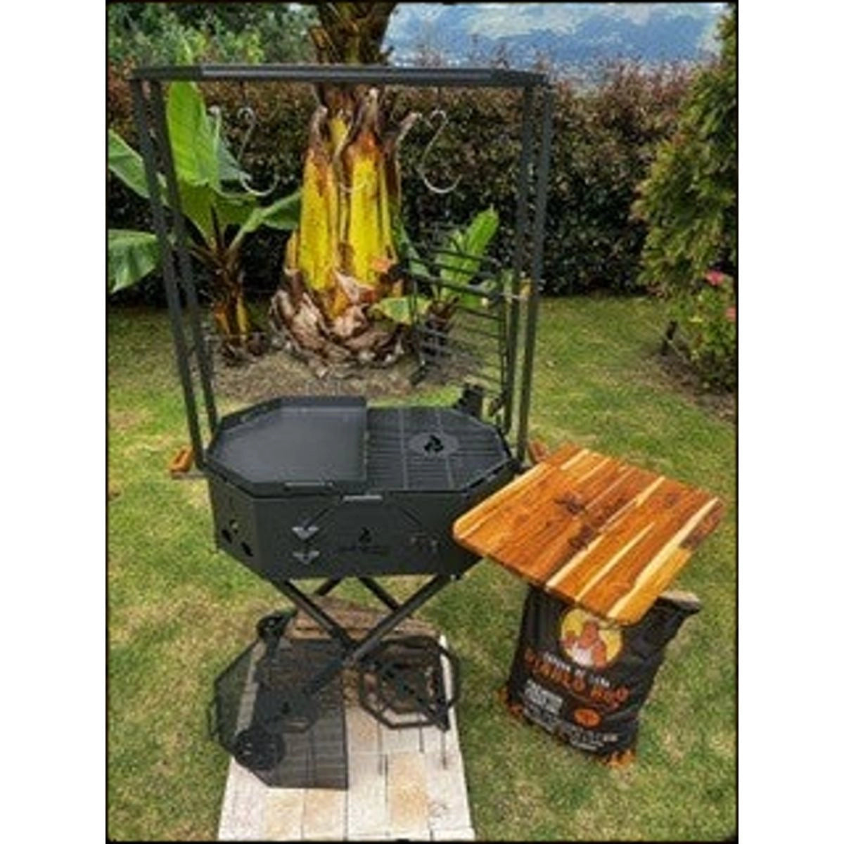 Portable Gas Grills