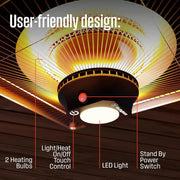 Ceiling fan with light fixture and control features labeled
